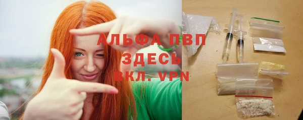 гидра Аркадак