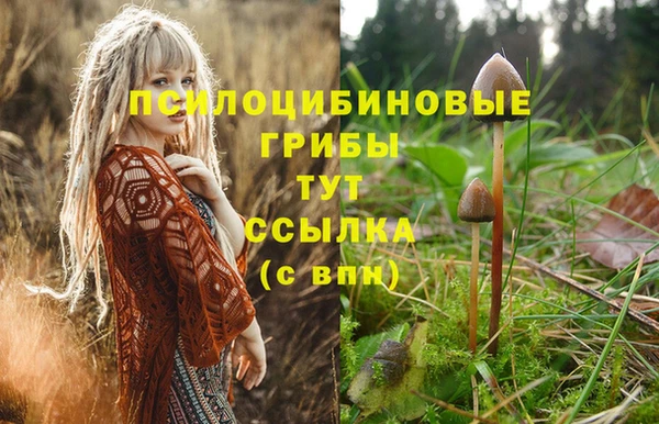 MDMA Армянск