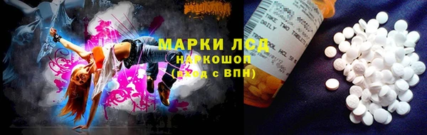 гидра Аркадак